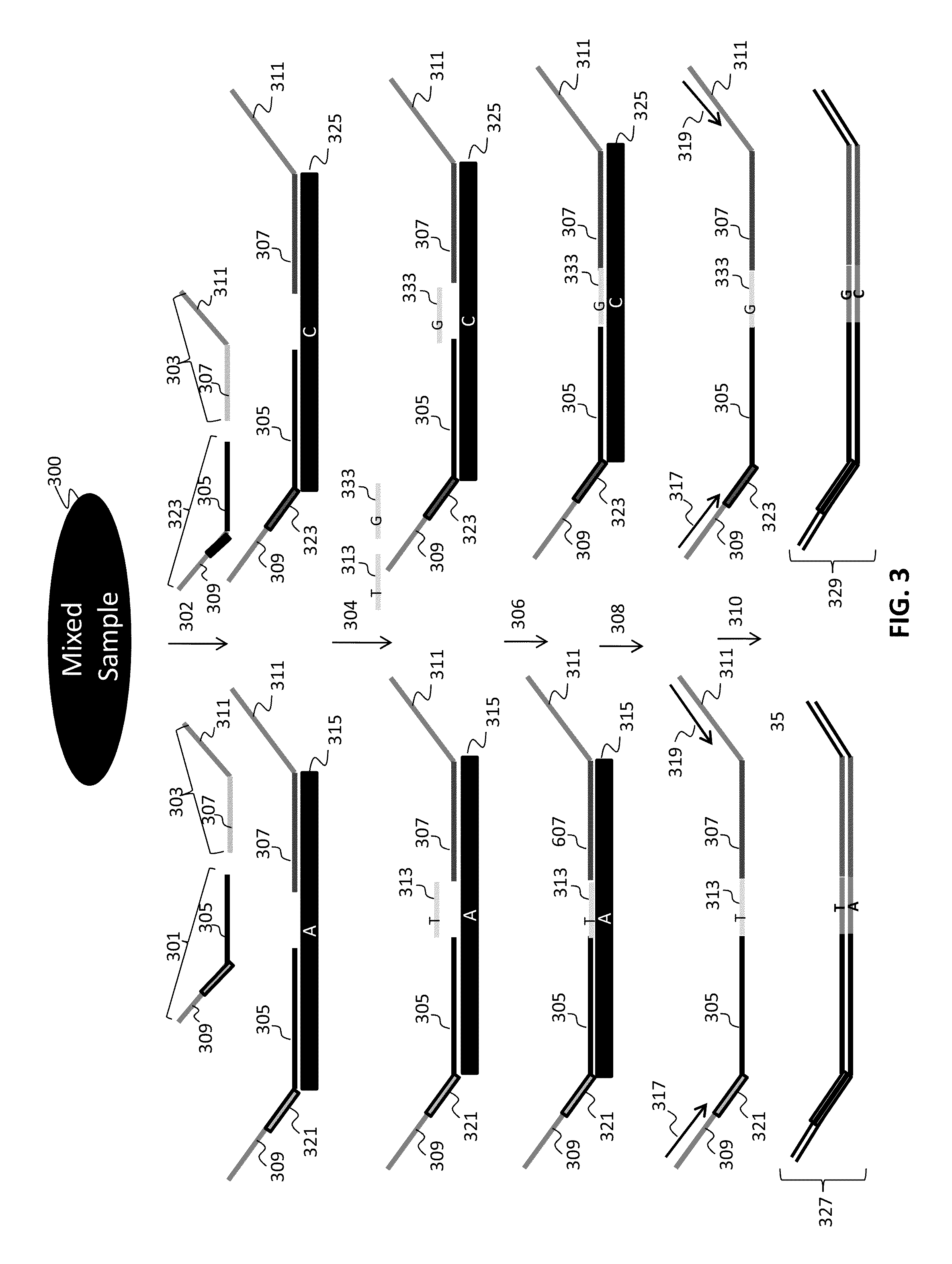 Assay systems for genetic analysis