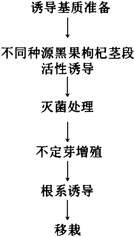 Inducing method suitable for one-step seedling forming of different provenances of lycium ruthenicum