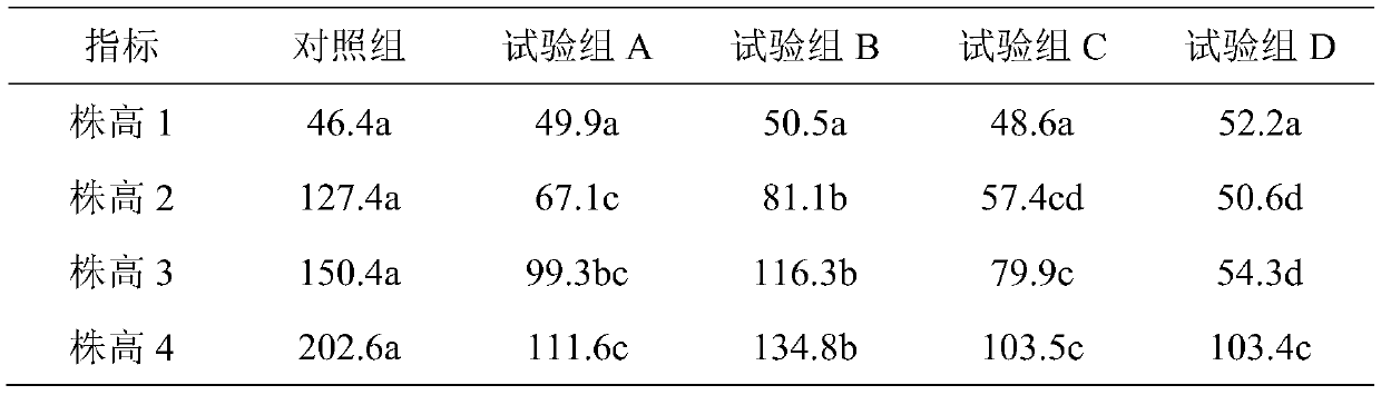 A dwarf cultivation method of safflower magnolia utilizing plastic element