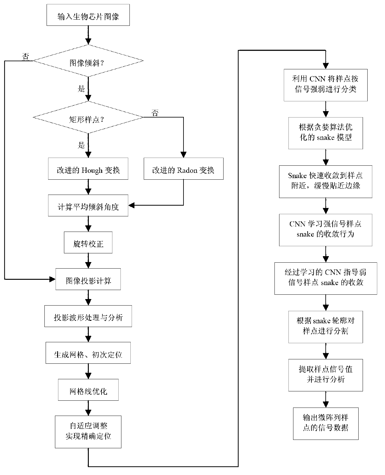 Biochip analysis method based on active contour model and cell neural network