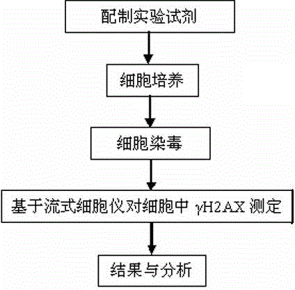 Gamma H2AX based cell DNA damage detecting method