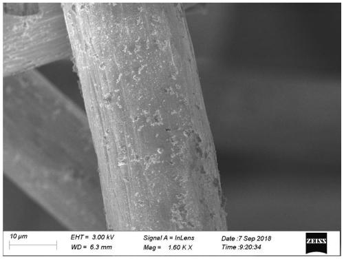 A kind of electric Fenton cathode introducing active hydrogen and its preparation method and application