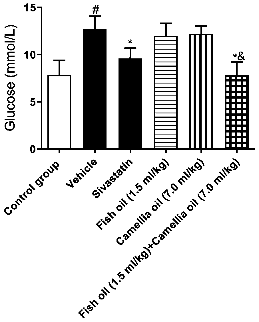 Functional composition containing camellia oil and fish oil and application of functional composition