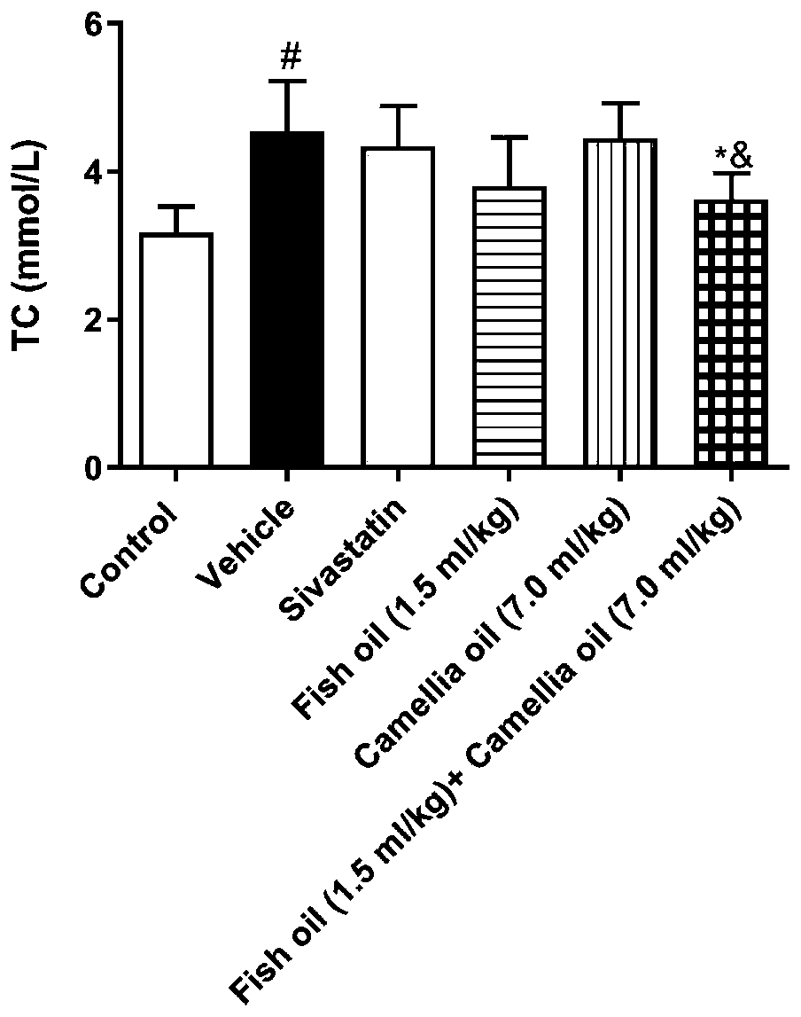 Functional composition containing camellia oil and fish oil and application of functional composition