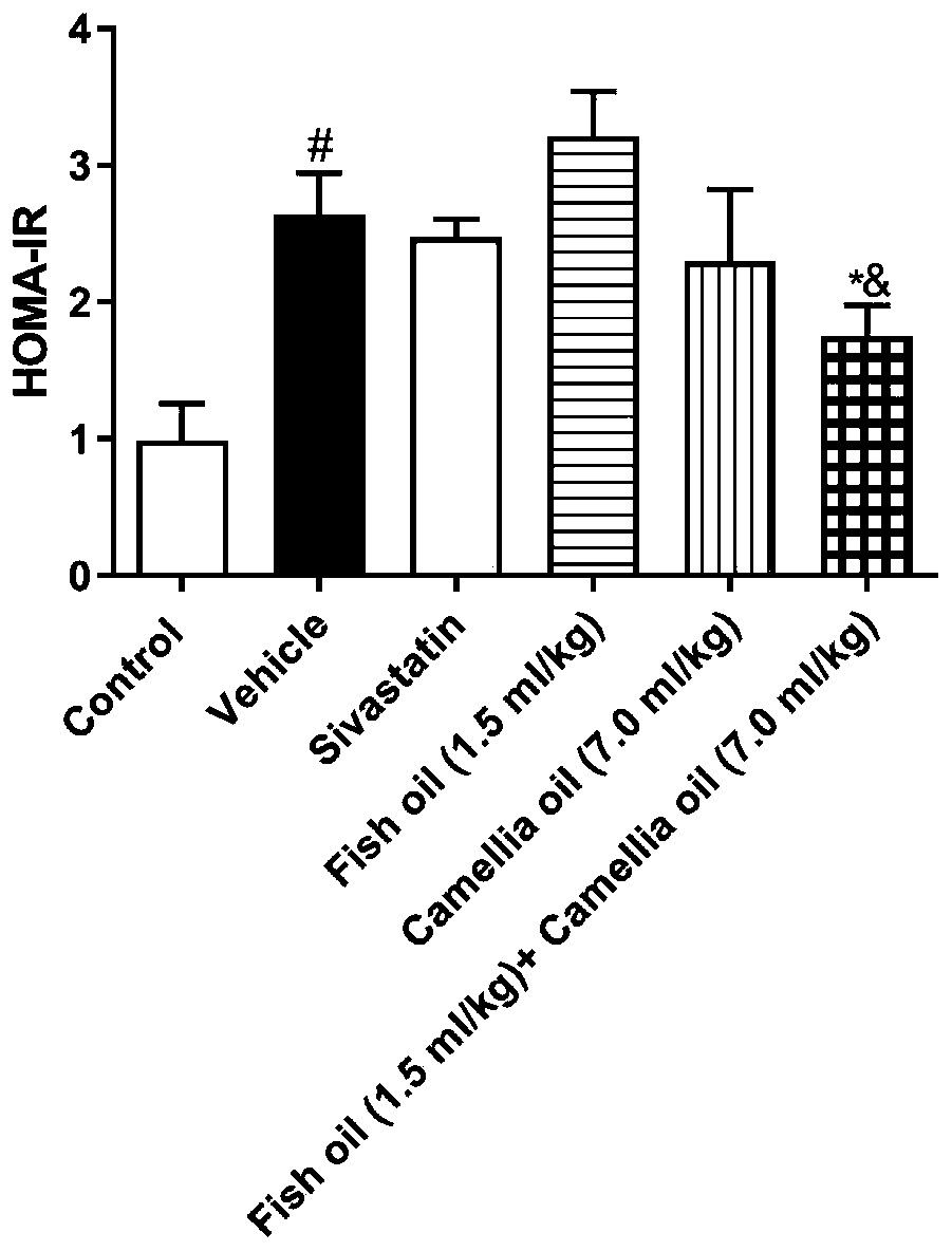 Functional composition containing camellia oil and fish oil and application of functional composition