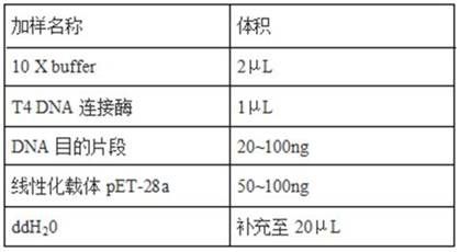 Group I type 4 fowl adenovirus fiber-2 protein antigen as well as method for preparing genetic engineering subunit vaccine and application of group I type 4 fowl adenovirus fiber-2 protein antigen