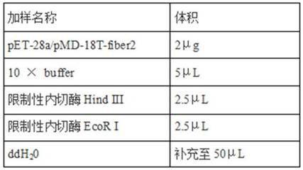 Group I type 4 fowl adenovirus fiber-2 protein antigen as well as method for preparing genetic engineering subunit vaccine and application of group I type 4 fowl adenovirus fiber-2 protein antigen