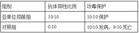 Group I type 4 fowl adenovirus fiber-2 protein antigen as well as method for preparing genetic engineering subunit vaccine and application of group I type 4 fowl adenovirus fiber-2 protein antigen