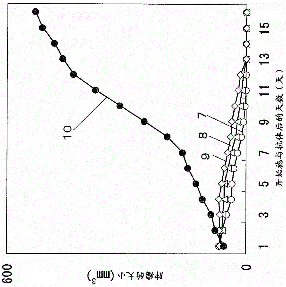 Pharmaceutical composition for cancer treatment and/or prevention