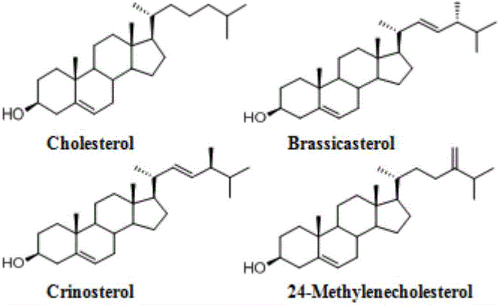 Mussel steroid active component extract, preparation method and applications thereof