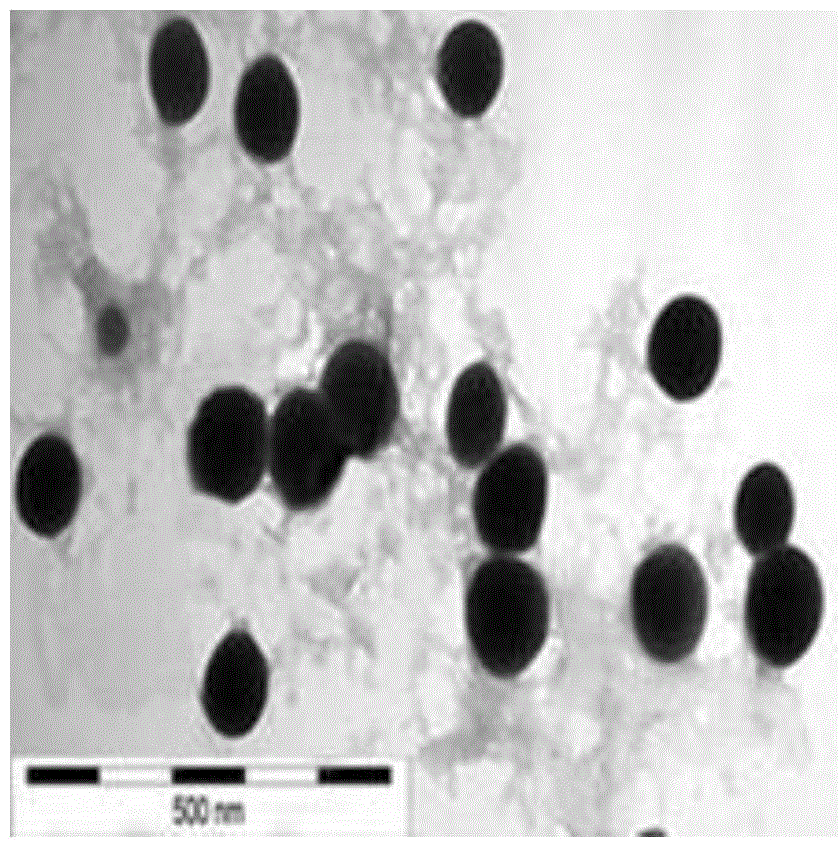 Functional nano-selenium and preparation thereof as well as application of functional nano-selenium in preparation of anti-bacteria and sterilization drugs