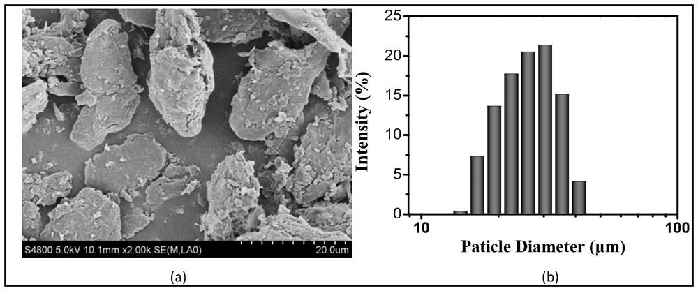 Preparation method of cartilage acellular matrix composite scaffold and application thereof