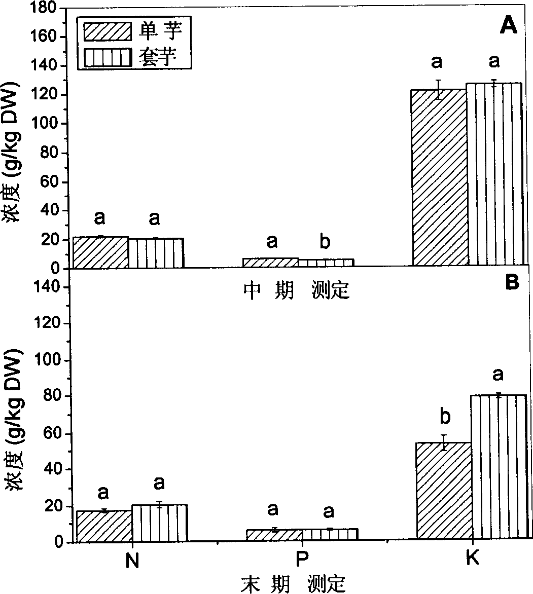 Process for producing organic potassium manure by plant planted on solid waste