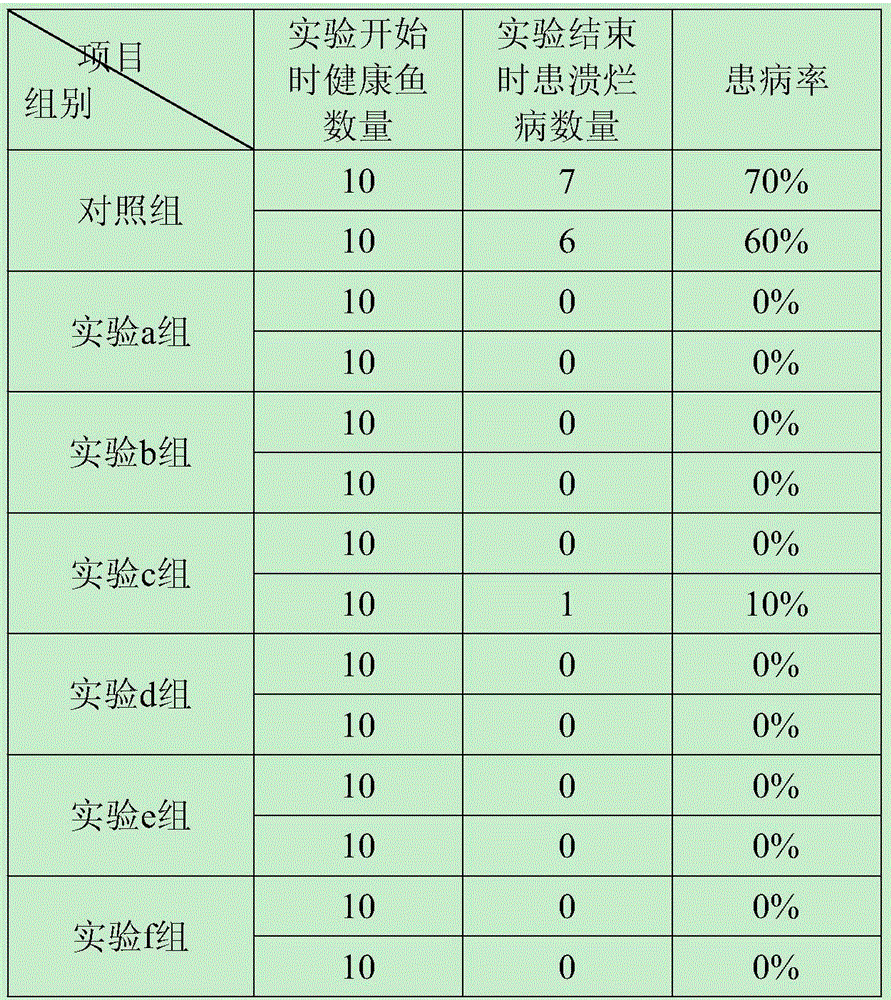 Feed additive for preventing and treating fester disease of Epinephelus akaara and preparation method of feed additive