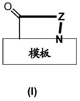 Template-fixed beta-hairpin peptidomimetics with protease inhibitory activity