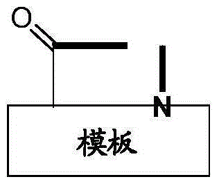 Template-fixed beta-hairpin peptidomimetics with protease inhibitory activity