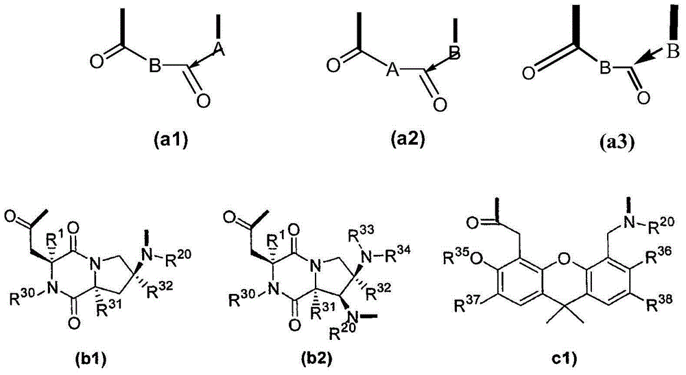 Template-fixed beta-hairpin peptidomimetics with protease inhibitory activity