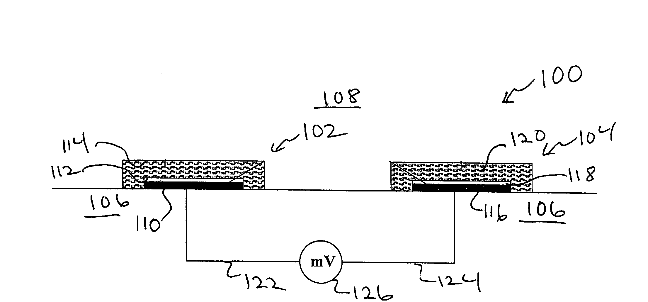 Ion sensor for long term use in complex medium