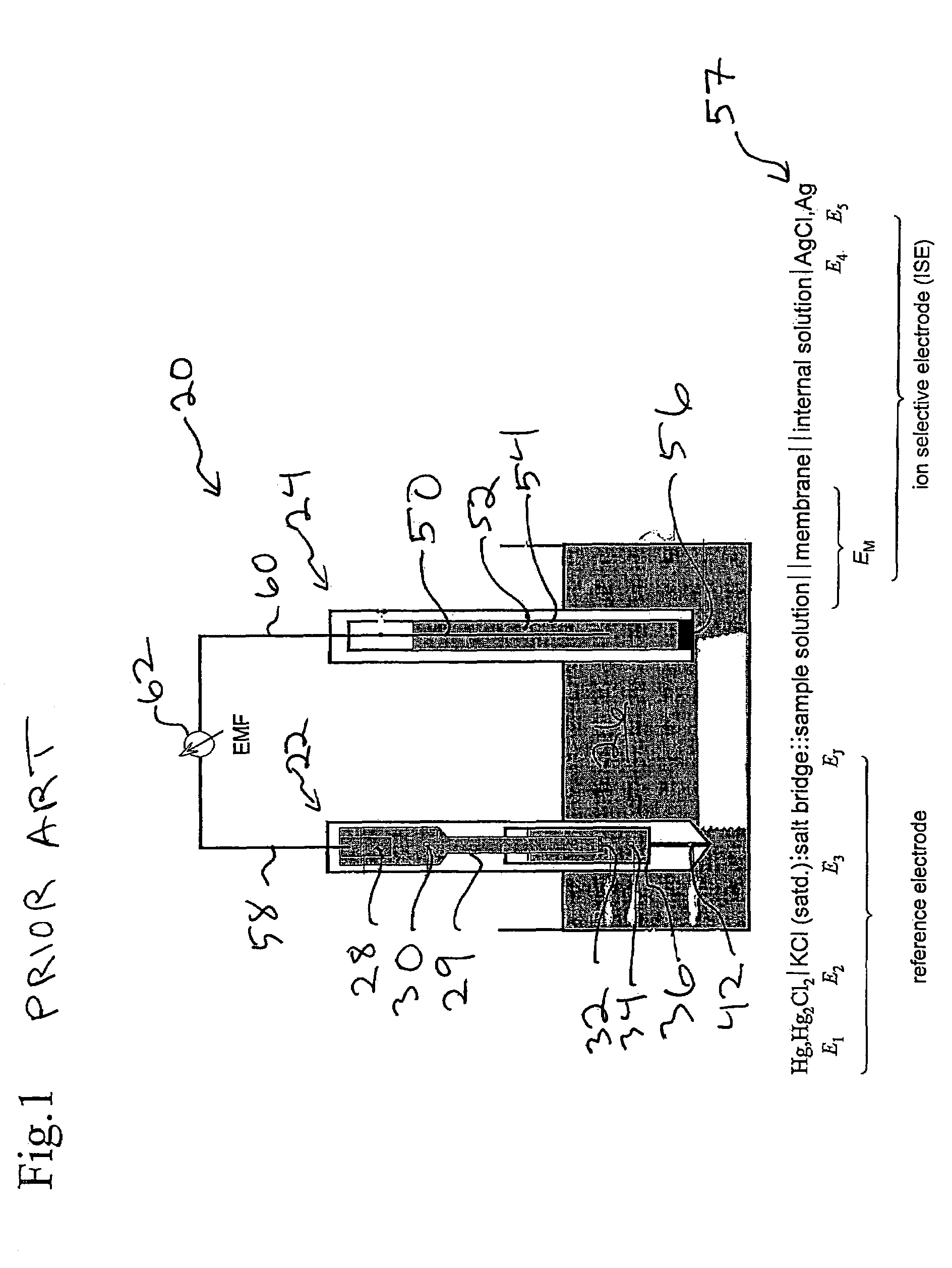 Ion sensor for long term use in complex medium