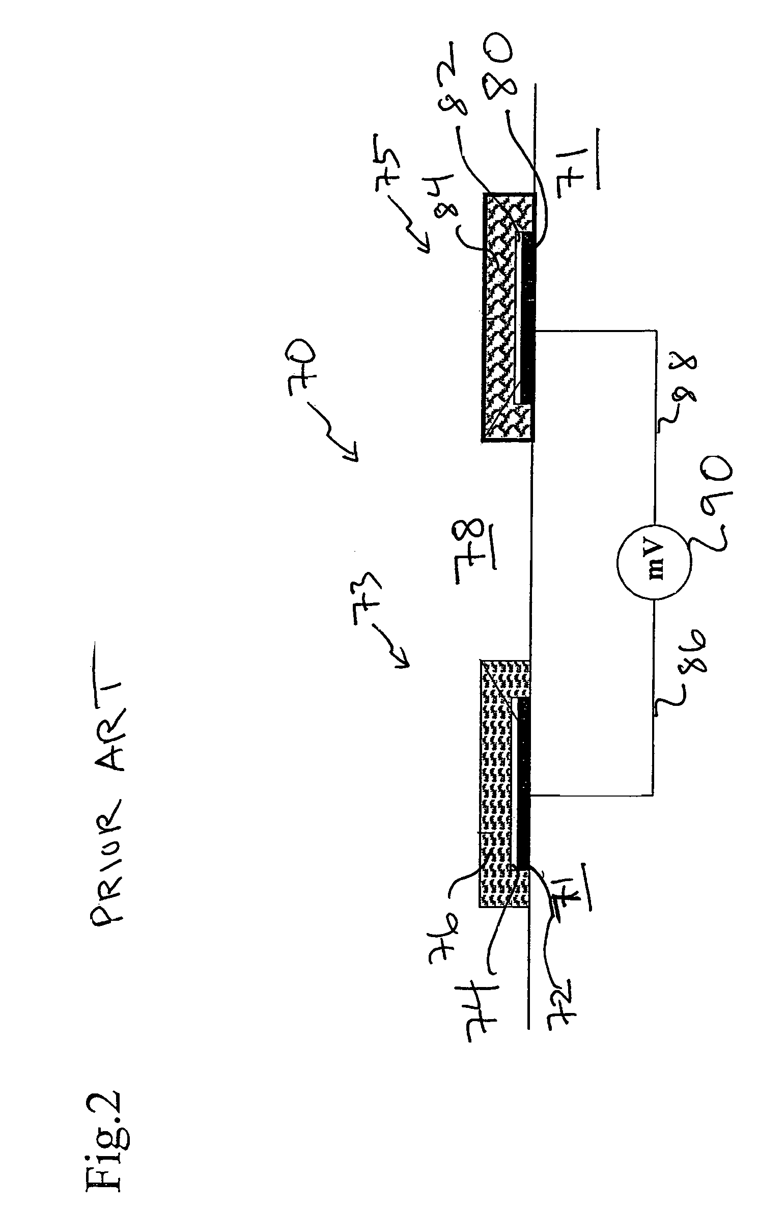 Ion sensor for long term use in complex medium