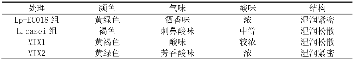 Lactobacillus plantarum and application thereof in preparation of miscanthus silage