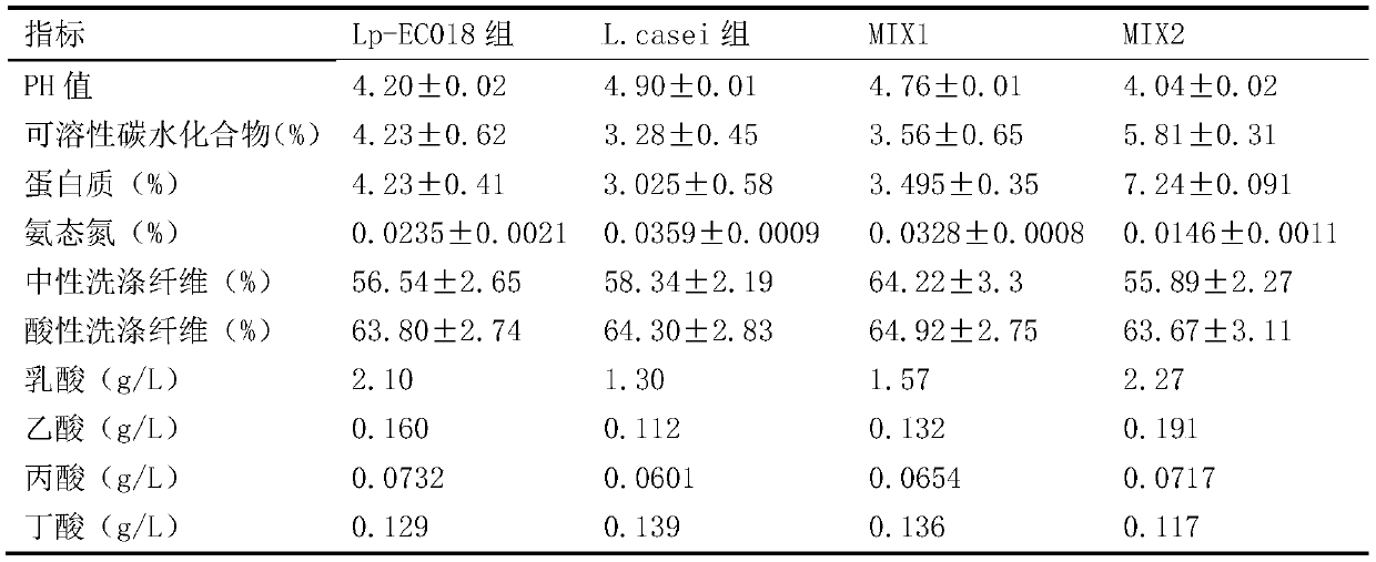 Lactobacillus plantarum and application thereof in preparation of miscanthus silage