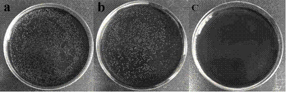 Cerium and gelatin modified antibacterial ink and preparation method thereof