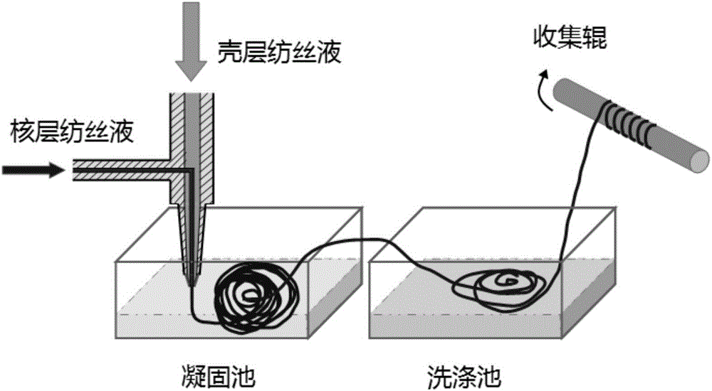 Core-shell structure fiber based on carbon nano material and preparation method thereof