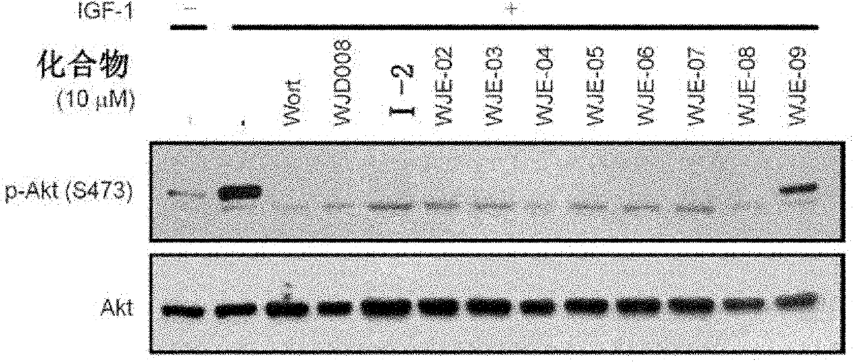 Pyrido-pyrrole triazine compound, and preparation method and application thereof