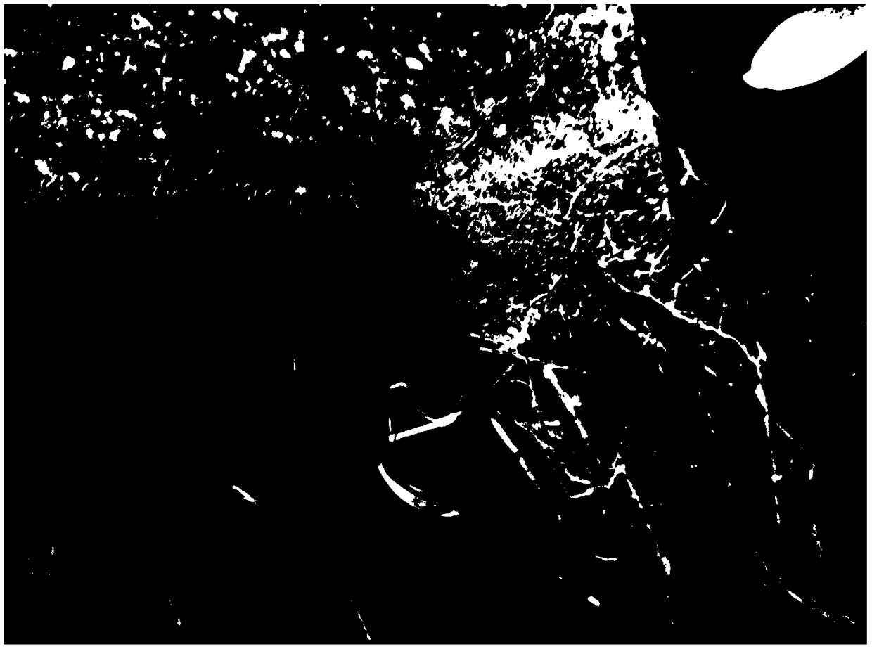 Rapid building and planting method of procumbent local Commelinaceae plants