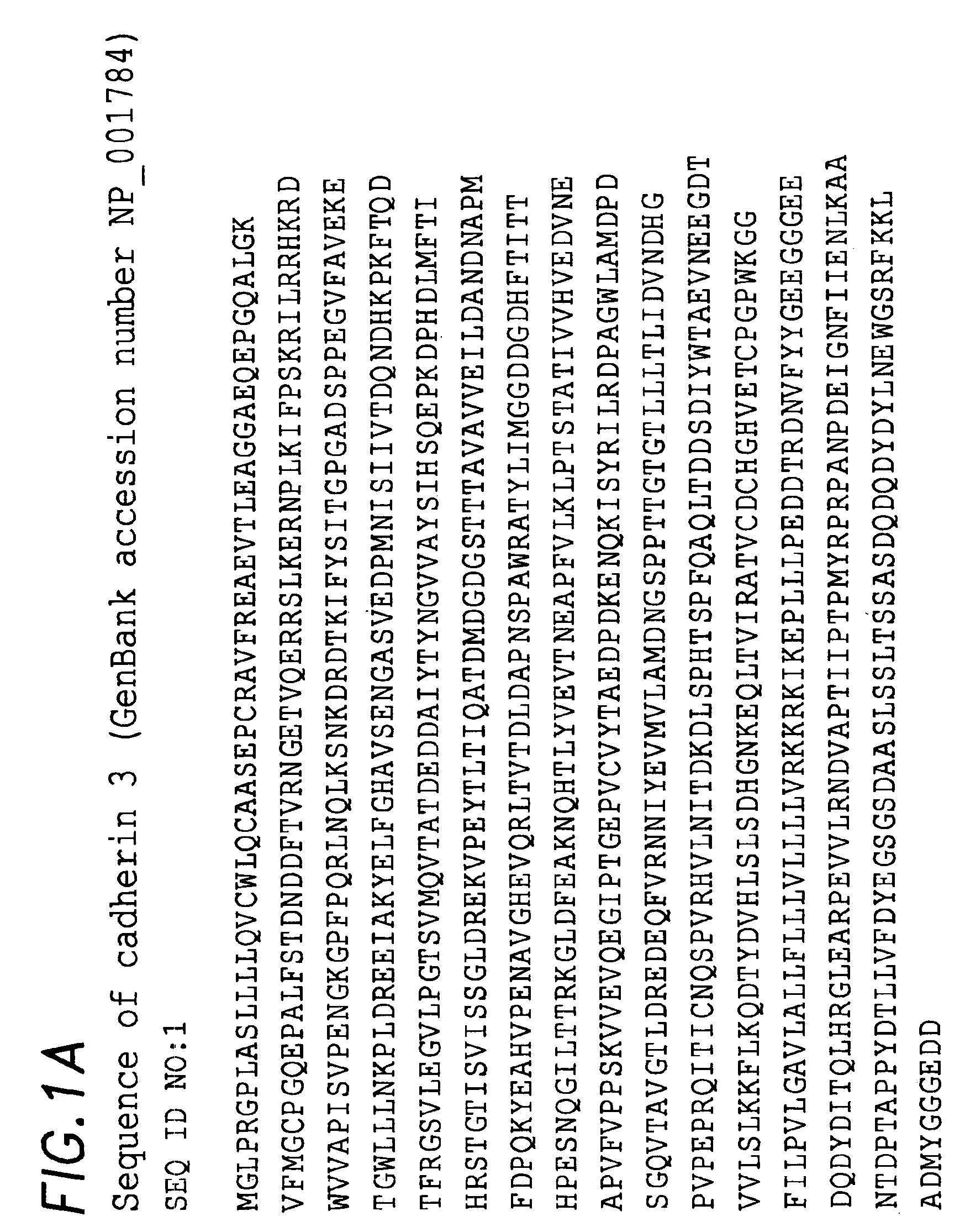 Methods of classifying, diagnosing, stratifying and treating cancer patients and their tumors