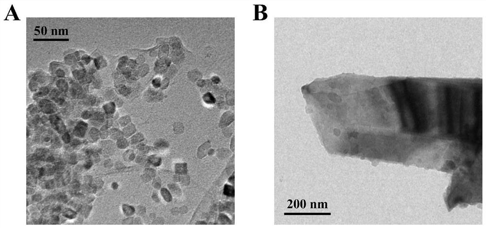 Construction method of light-assisted bipolar self-energized aptamer sensor for detecting lincomycin