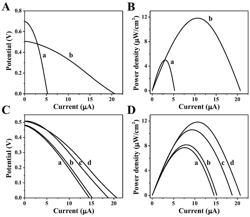 Construction method of light-assisted bipolar self-energized aptamer sensor for detecting lincomycin