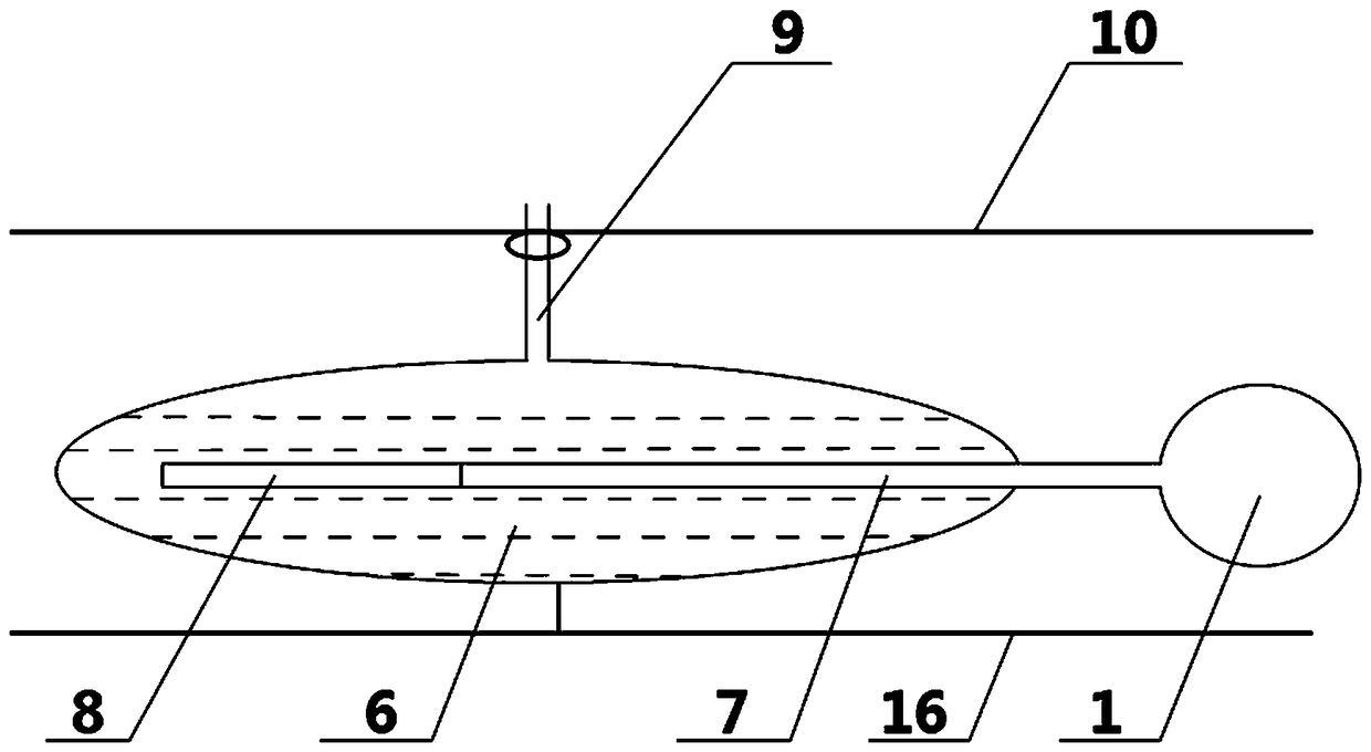 Method for breeding microalgae in marine shoal region and microalgae breeding system