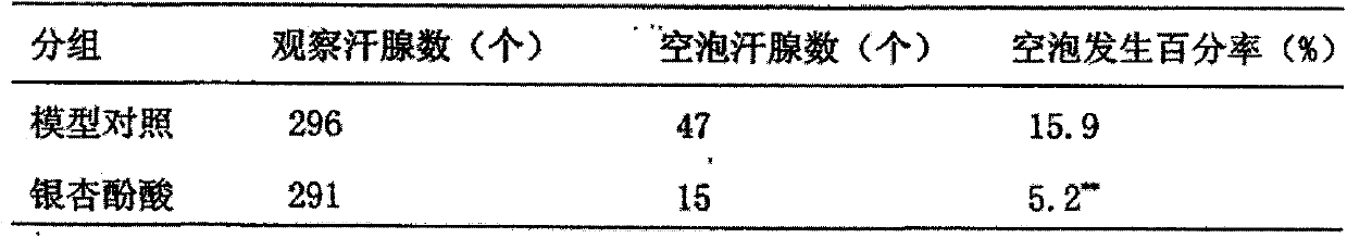 Application of gingkolic acid in preparation of external preparation for treating osmidrosis