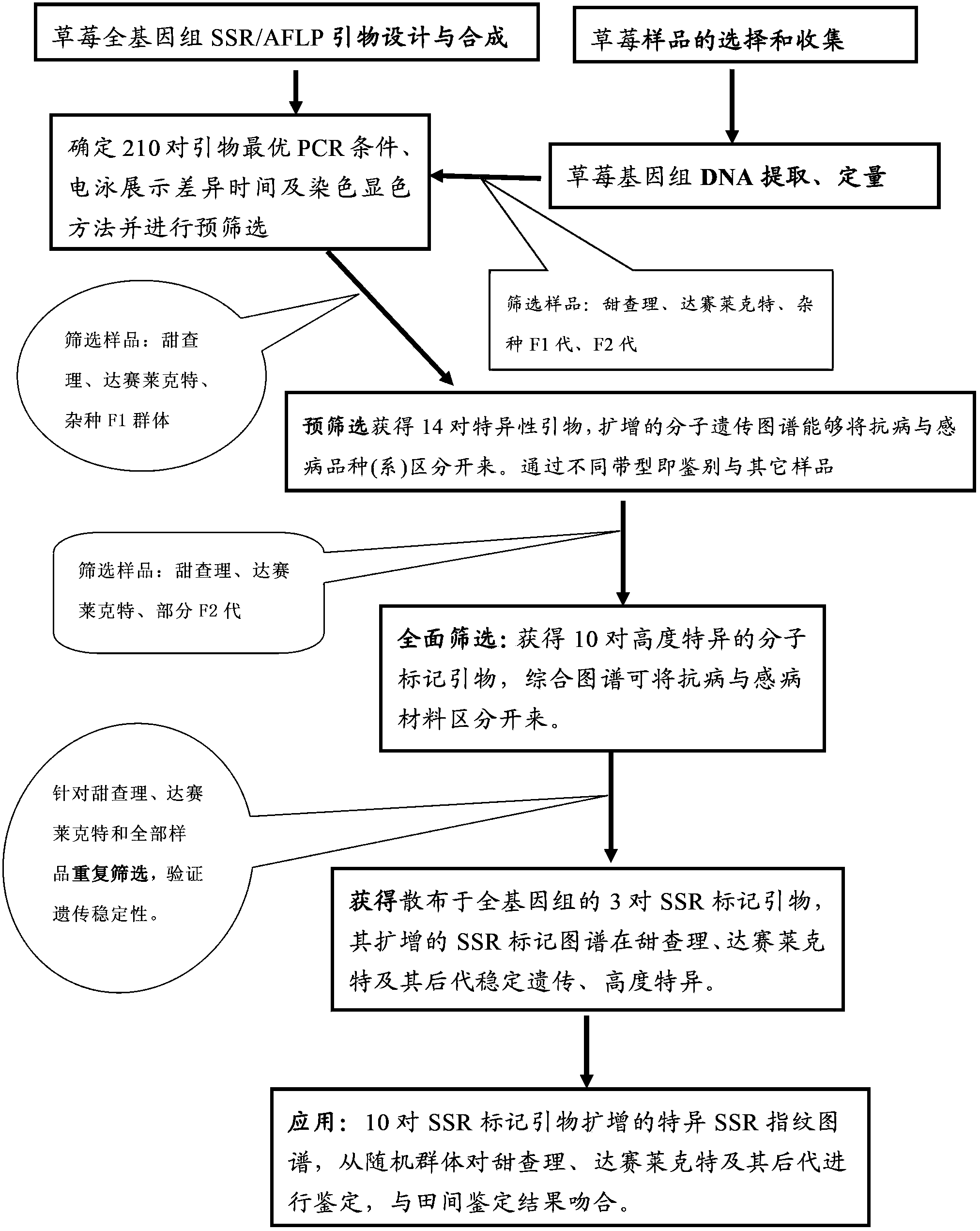 Primer sequence for authenticating resistance of strawberry genetic resource anthracnose and authentication method thereof