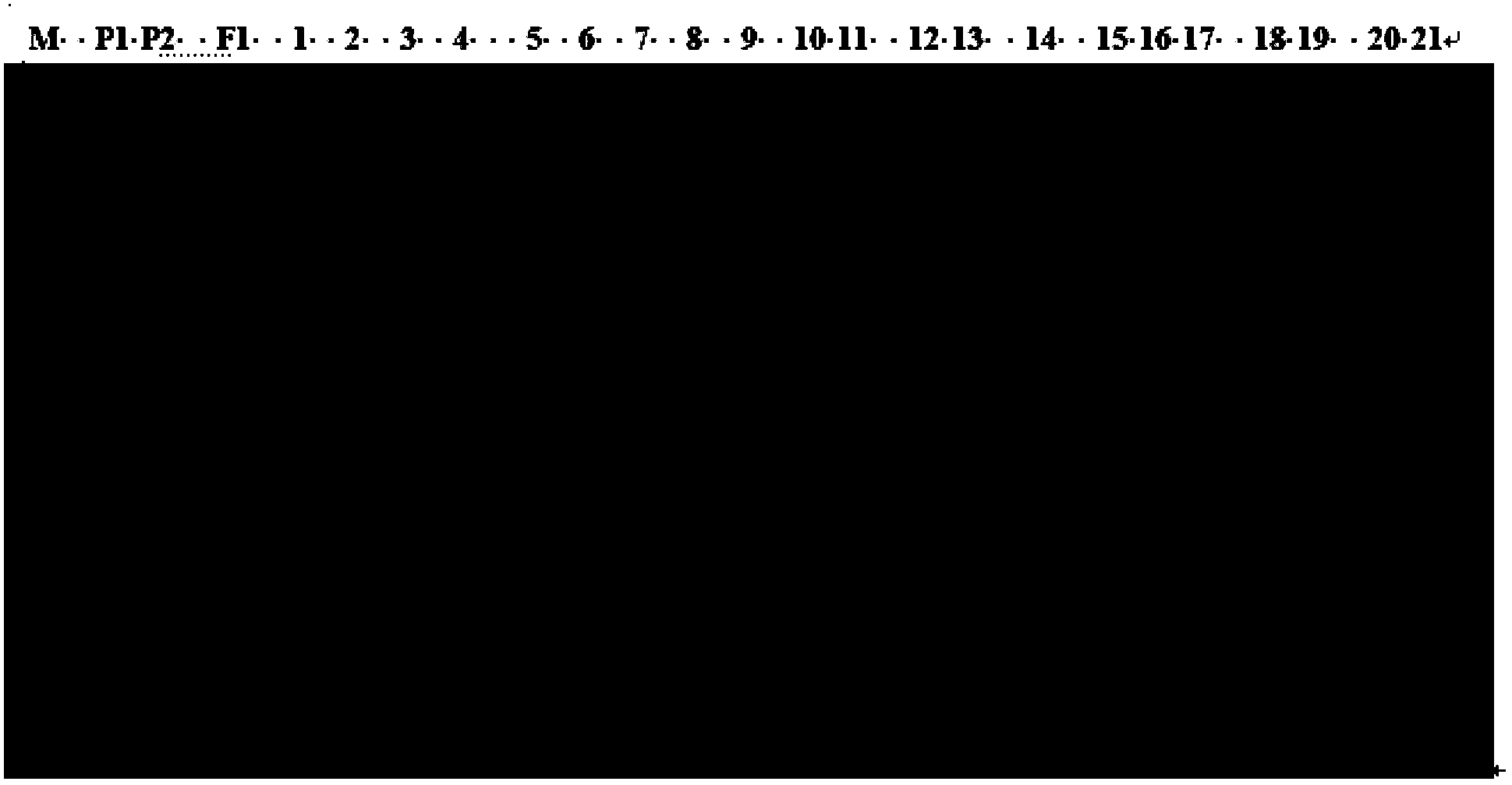 Primer sequence for authenticating resistance of strawberry genetic resource anthracnose and authentication method thereof