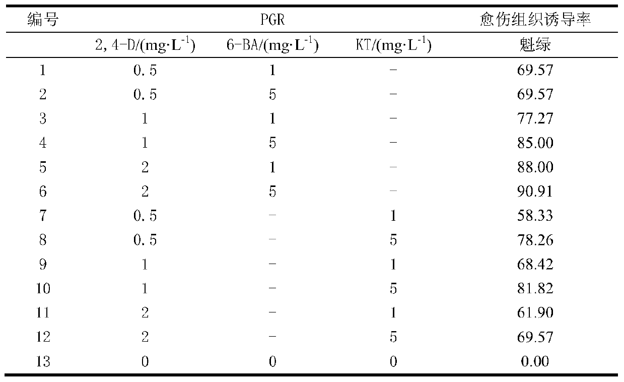 A method for cultivating actinidia anthers into haploid plants