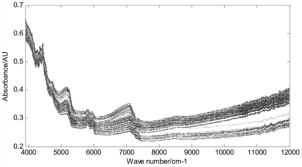 Method for determining wheat stripe rust disease uredospore germination rate by utilizing near-infrared spectroscopy