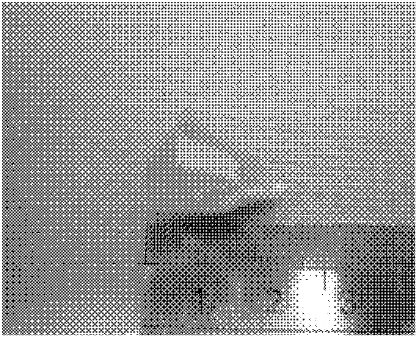 Pulling method for growing Ca12Al14O33 monocrystal in non-stoichiometric ratio melt