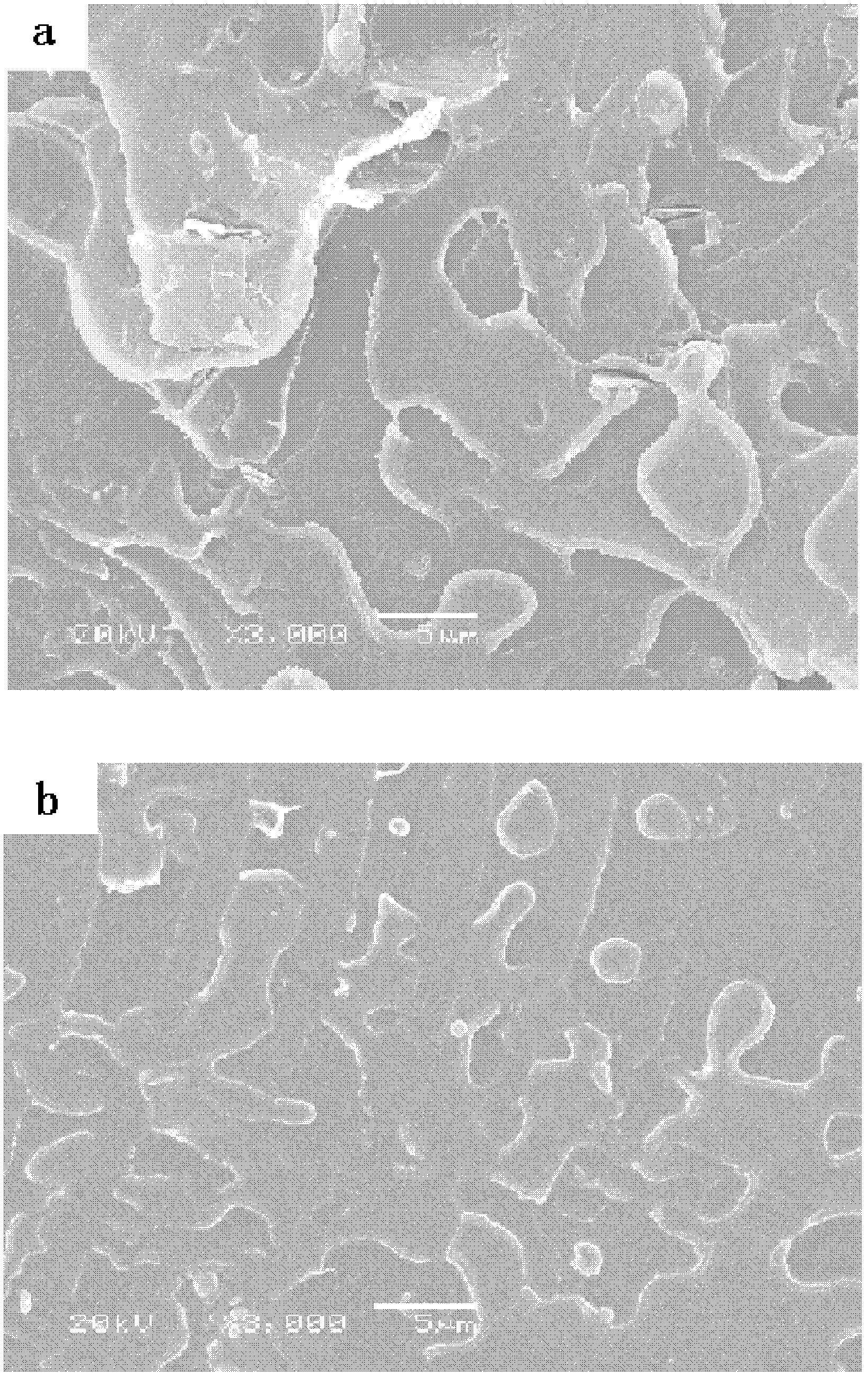 Poly(aryl ether nitrile) composite material and its preparation method