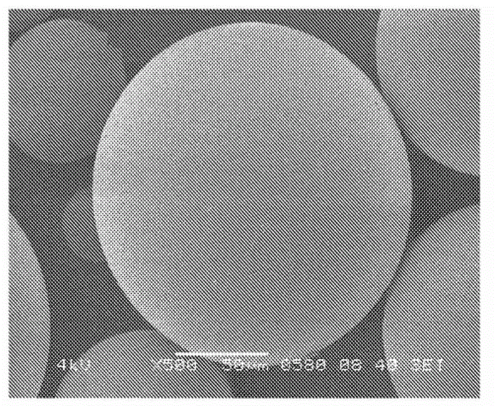 Abrasive for moisture blasting, and manufacturing method for same