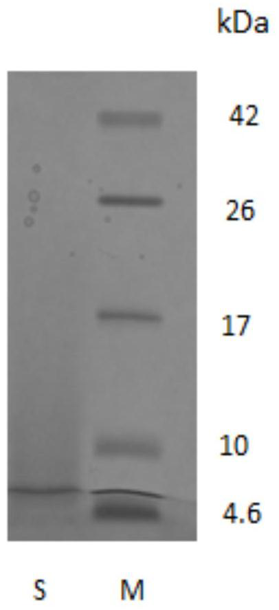 Novel self-assembled collagen and its preparation method