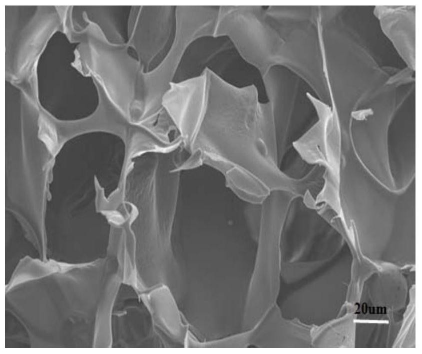 Novel self-assembled collagen and its preparation method