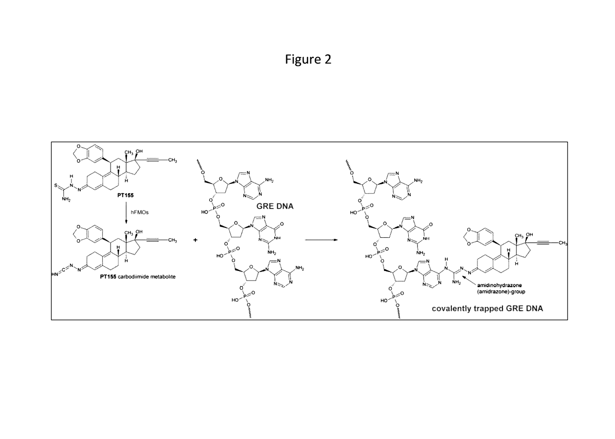 Pharmaceutical Compositions and Methods