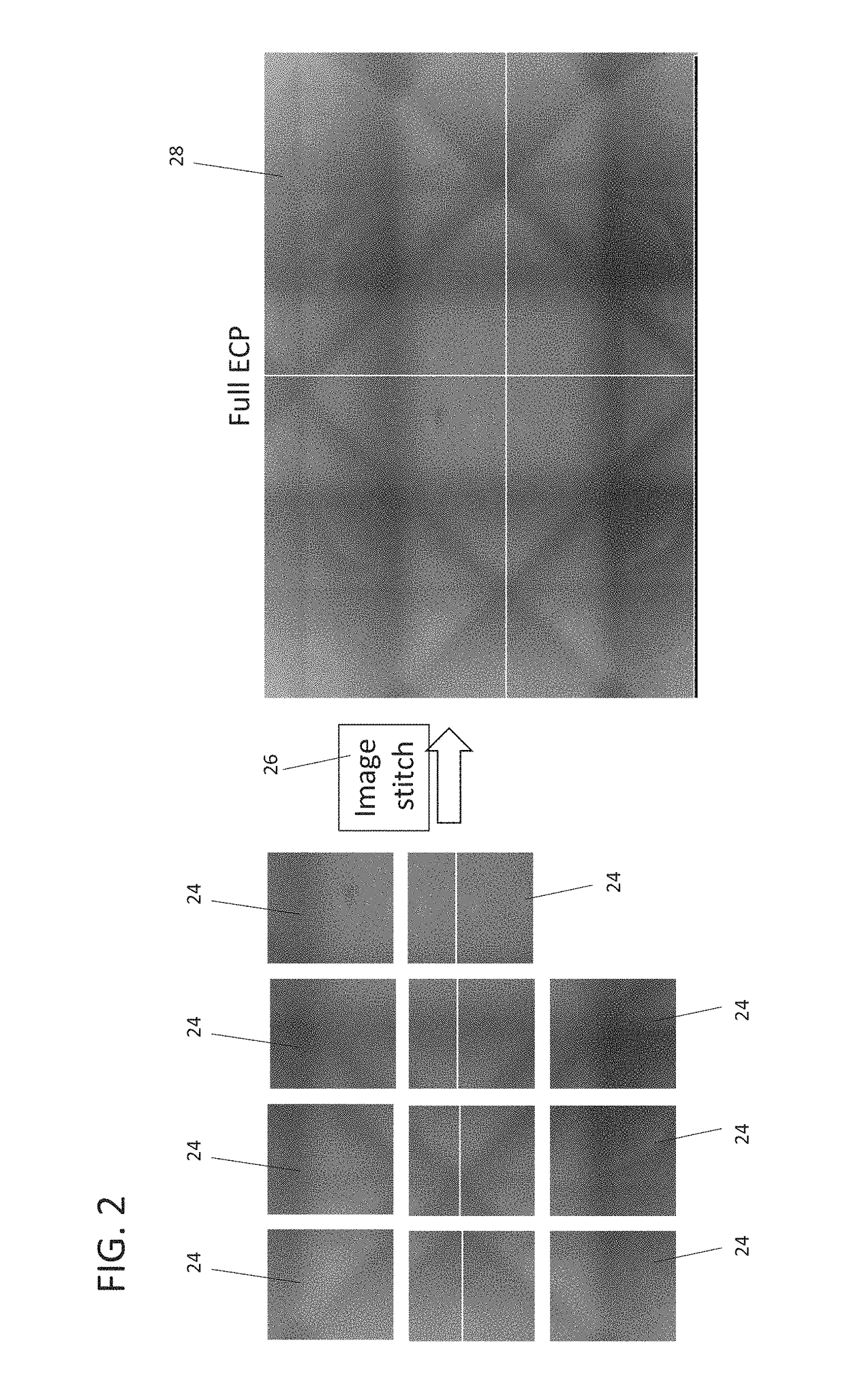 Electron channeling pattern acquisition from small crystalline areas