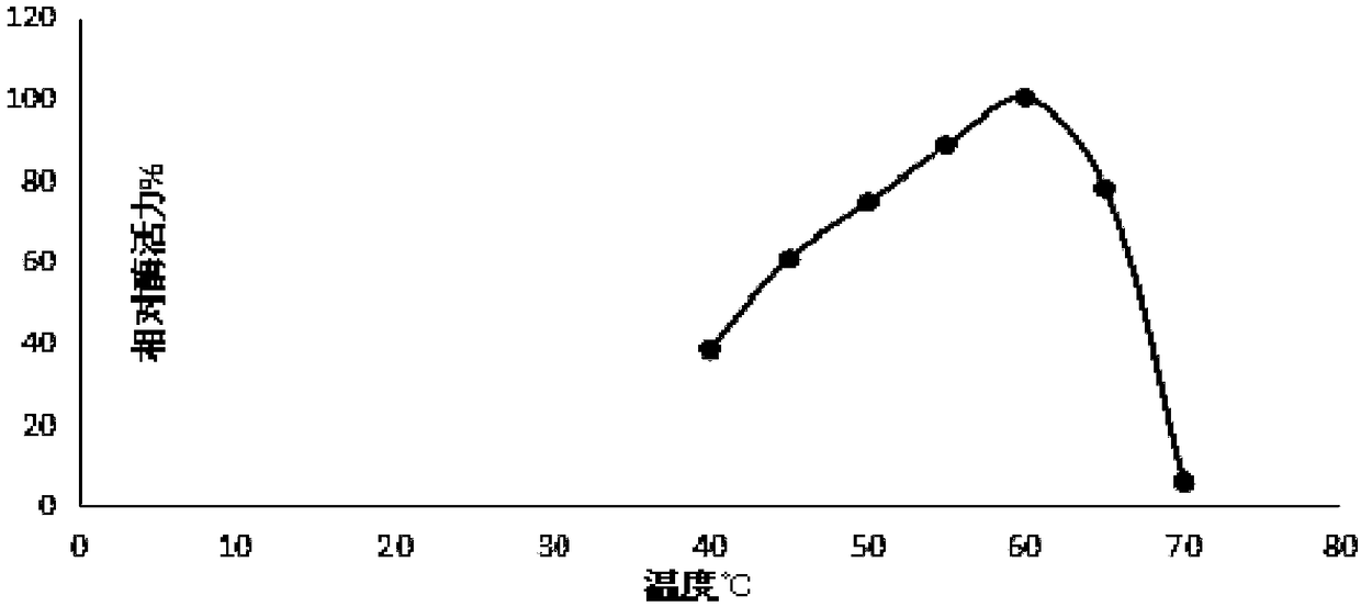 Novel pullulanase and gene and preparation methods thereof and engineering bacteria expressing same