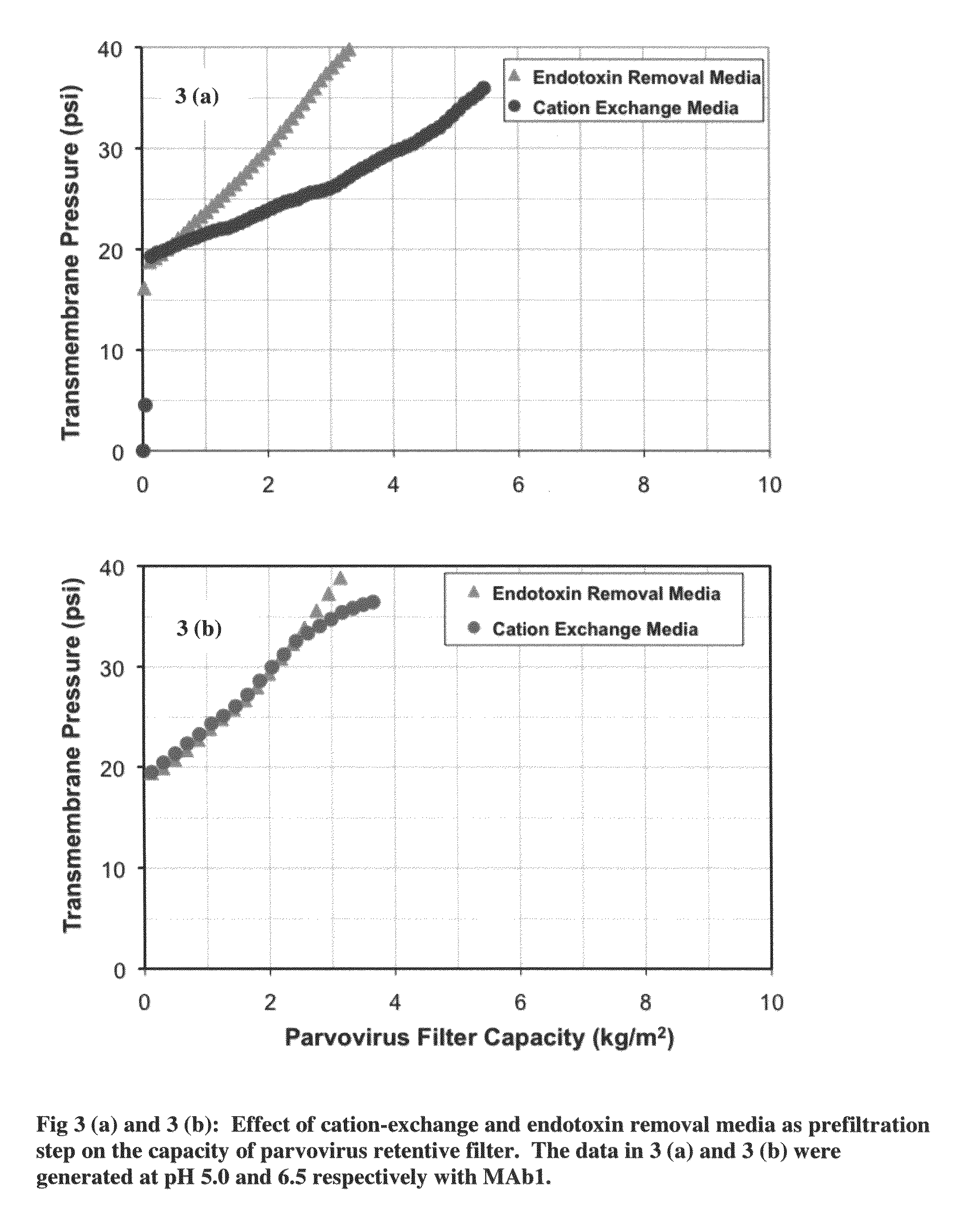 Virus filtration methods