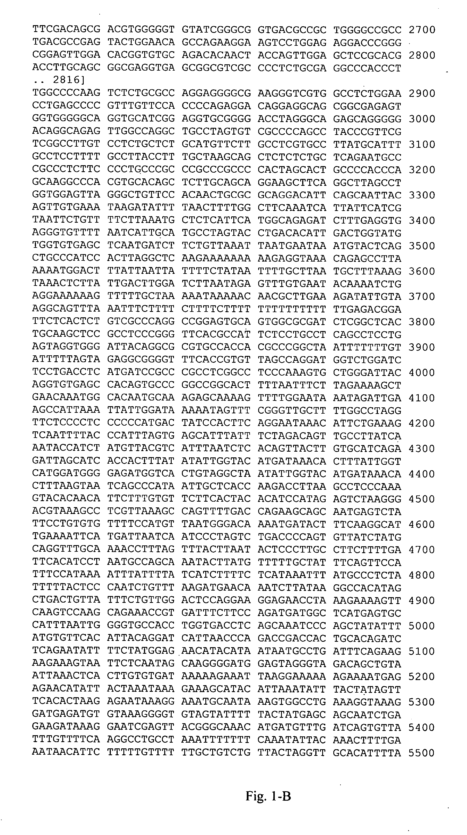 Genetic markers in the HLA-DQBI gene associated with an adverse hematological response to drugs