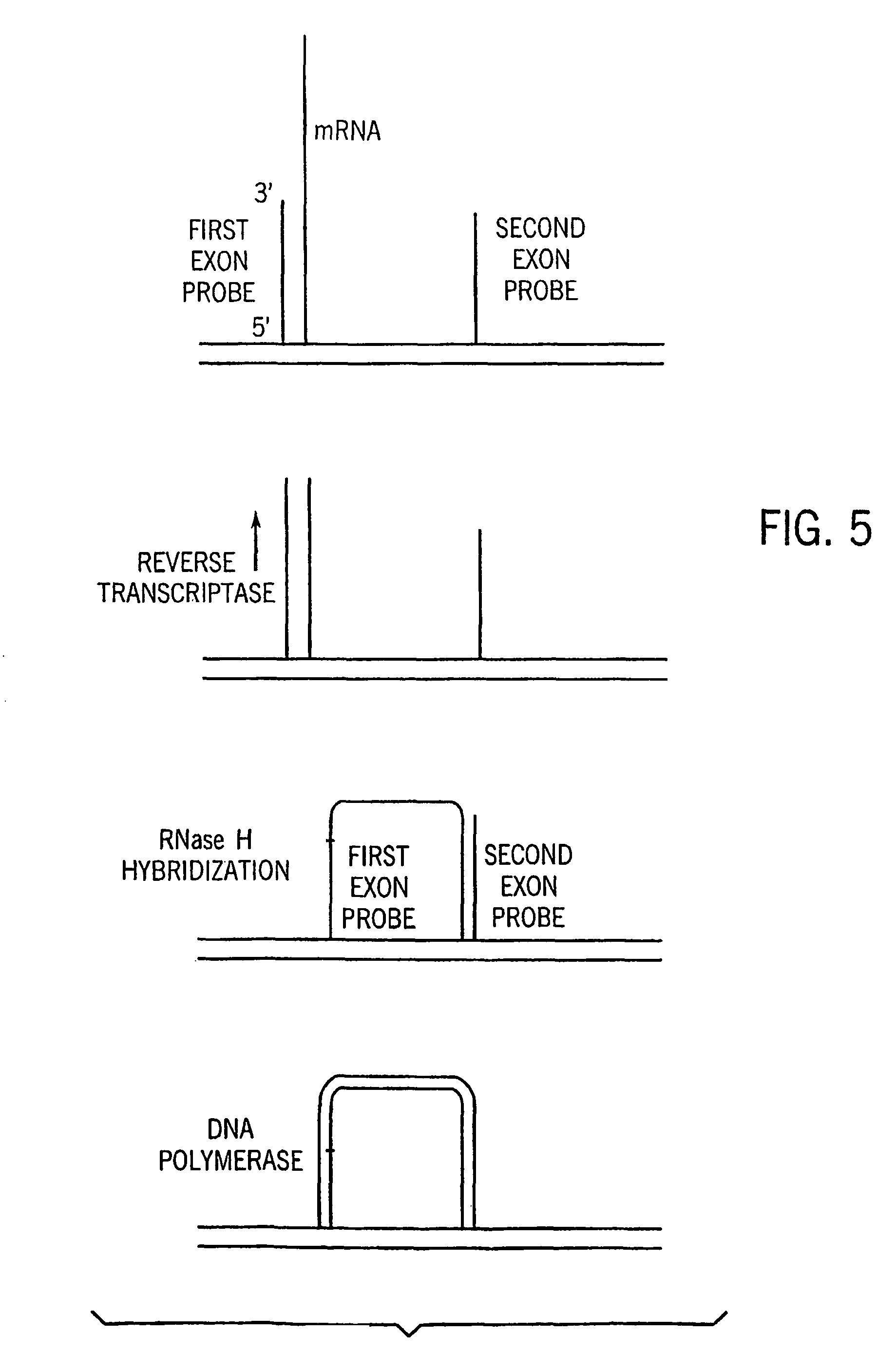 Microarrays having multiple oligonucleotides in single array features